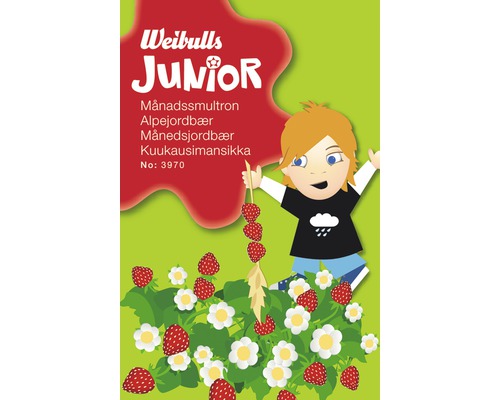 Smultronfrö WEIBULLS Junior Månadssmultron
