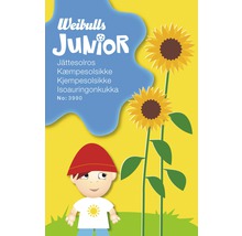 Weibulls Junior fröpaket jättesolros