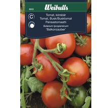 Weibulls tomatfrön, körsbärstomat, busktomat