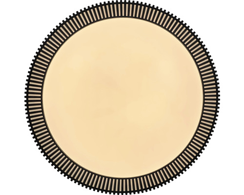 Rund spegel med dekorativ ram