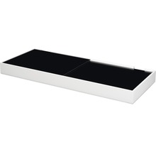 Ramp EHEIM Varilux 100 LED för akvarier 100x40cm vit