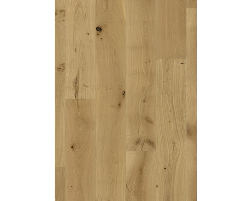 Ljus ekparkett med kvistar