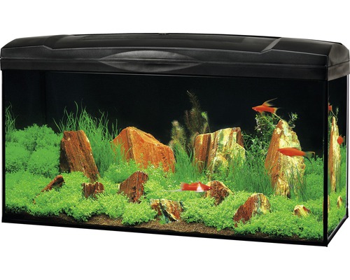 Akvarium MARINA Complete 54 inkl. LED-belysning, filter, värmare, foder svart
