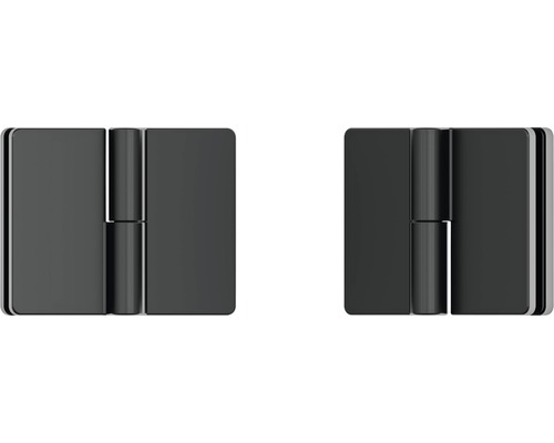 Två svarta dörrgångjärn