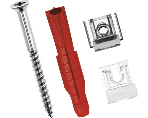 Skruv, plugg och två fästklämmor