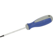 Torxskruvmejsel med kromvanadinstål och blått handtag