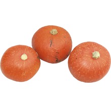 Tre orange Hokkaido pumpor