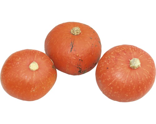 Tre orange Hokkaido pumpor