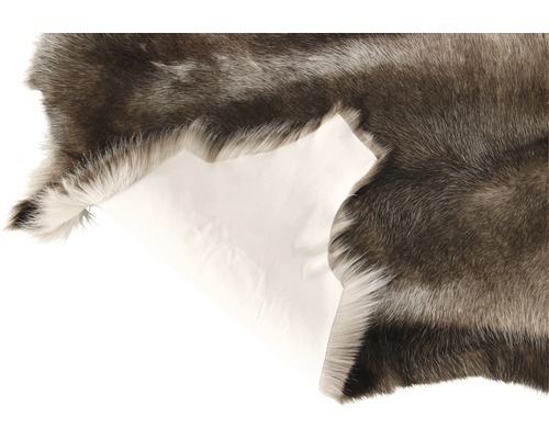 Dekorativ fäll med ljus bakgrund