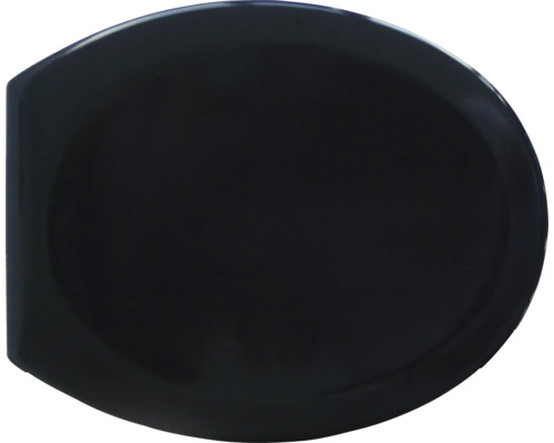 Toalettsits av plast