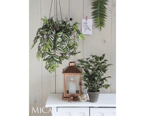 Dekorativ scen med hängande växt, lykta, krukväxt och dekorationsobjekt på ett skåp