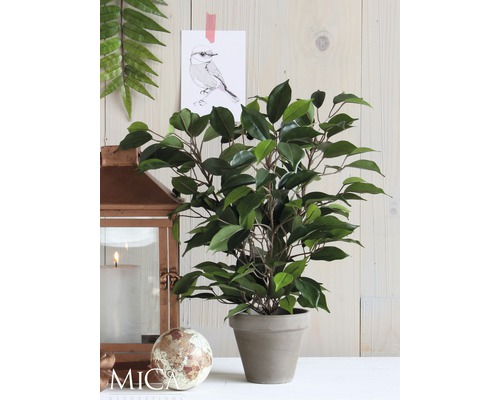 Dekorativ konstgjord växt i kruka, arrangemang med lykta och dekoration