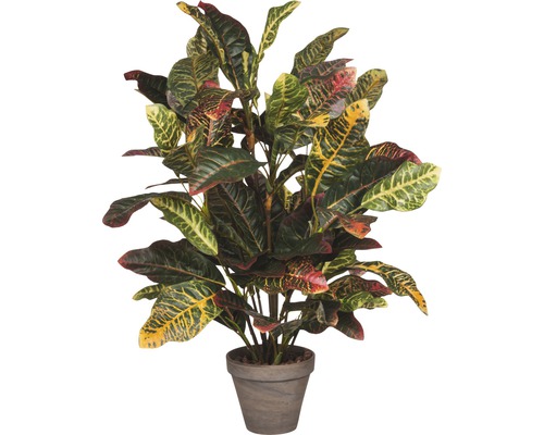 Konstväxt MICA Croton i kruka 73x40cm grå Konstväxt MICA Croton i kruka 73x40cm grå