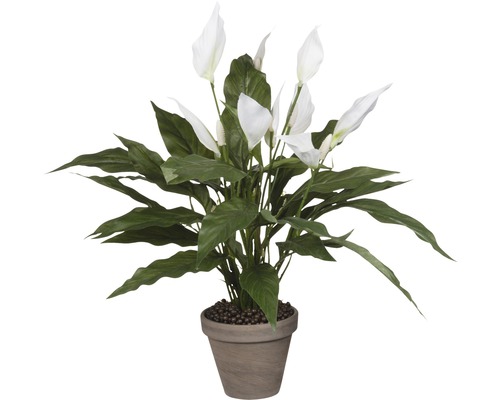 Konstväxt MICA Spathiphyllum 50x40cm vit Konstväxt MICA Spathiphyllum 50x40cm vit