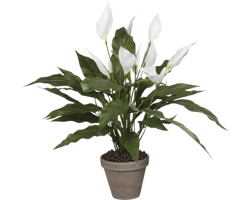 Konstväxt MICA Spathiphyllum 50x40cm vit