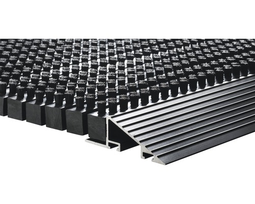 Dörrmatta med borstprofil och aluminiumramp