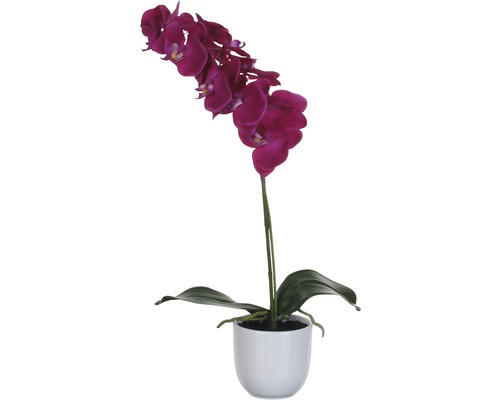Konstväxt MICA Phalaenopsis 60cm violett