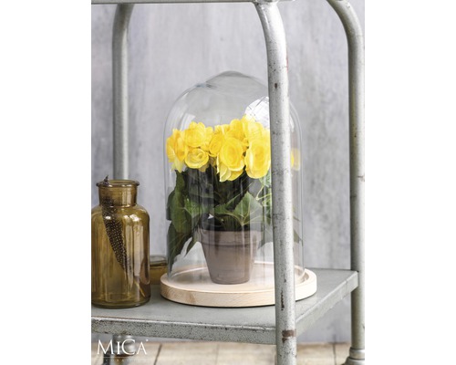 Gula blommor i en glaskupa på en metallhylla, bredvid en brun glasflaska.