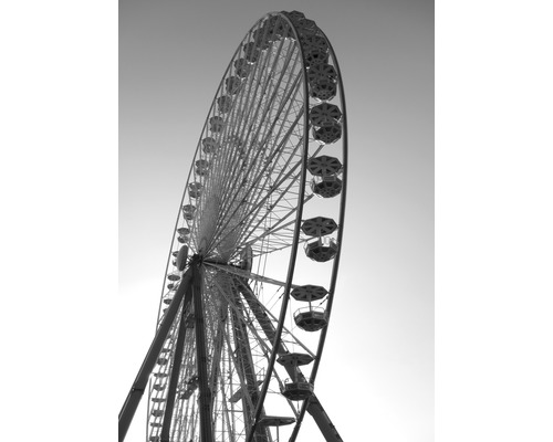 Poster Ferris Wheel 50x70cm