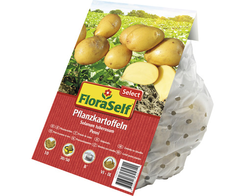 Sätt potatis FloraSelf sort Penni i perforerad förpackning
