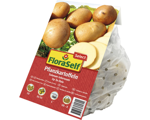 FloraSelf potatis utsäde sort Up-To-Date i perforerad påse