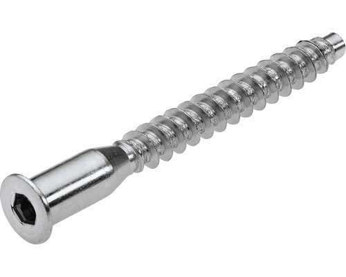 Träskruv med insexkant