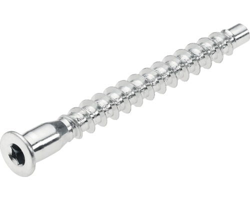 En träskruv med försänkt huvud