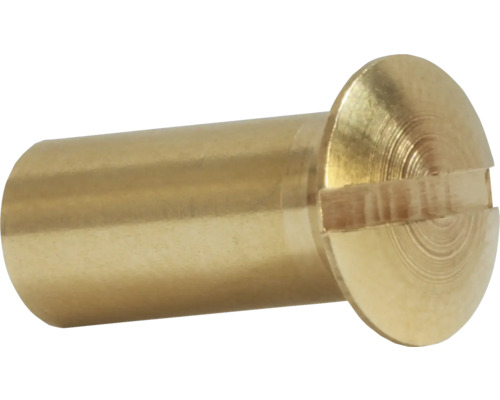 Hylsmutter DRESSELHAUS 4x14mm mässing Mässingsfärgad spårskruv
