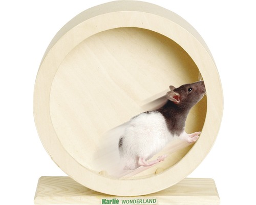 Hamsterhjul KARLIE 20cm Hamsterhjul KARLIE 20cm