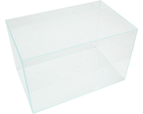 Klart glasakvarium för fiskar och växter