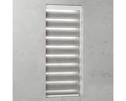 Fönster med ogenomskinlig, grå dubbel rullgardin