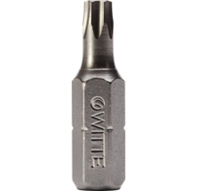 Bits WITTE Stainless ¼" 25mm Torx T 15
