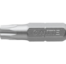 Bits WITTE Stainless ¼" 25mm Torx T 25