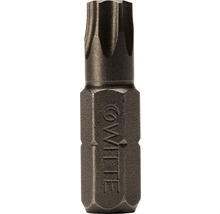 Bits WITTE Industrie 10-pack ¼" 25mm torx T 25-thumb-0