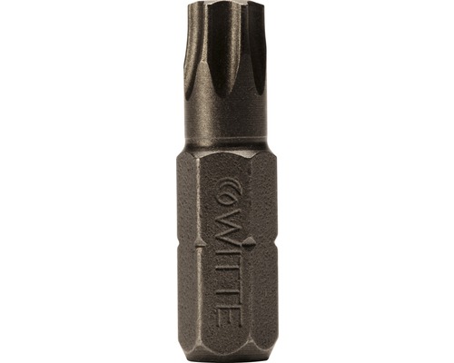 Bits WITTE Industrie 10-pack ¼" 25mm Torx T 10