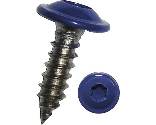 Gängpressande skruv med fläns och torxfäste DRESSELHAUS blålackerad rostfritt stål A2 4,8x16mm 100-pack-0