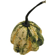Pattisonpumpa