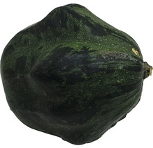 Enkel grön pumpa