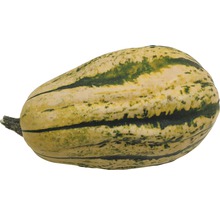 Individuell matpumpa