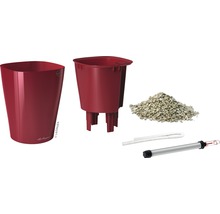 Lechuza Classico Color 21 blomkruka inklusive bevattningsset