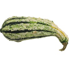 Dekorativ prydnadspumpa