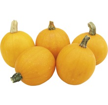 Fem gula prydnadspumpor