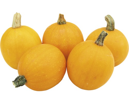 Fem gula prydnadspumpor