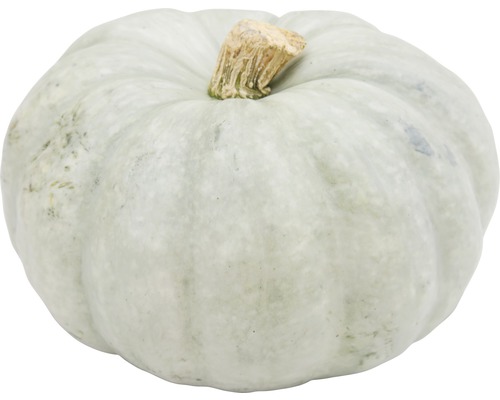 Enkel grå pumpa