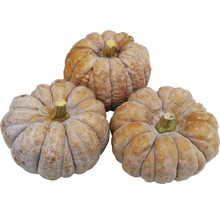 Tre pumpor