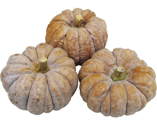 Tre pumpor