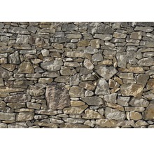 Fototapet KOMAR stone wall 368x254cm 8-727-thumb-0