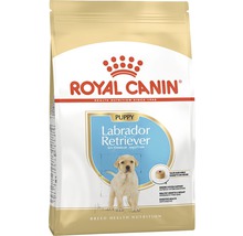 Royal Canin valpfoder Labrador Retriever