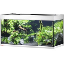 Dekorativt akvarium med växter, stenar och trärötter