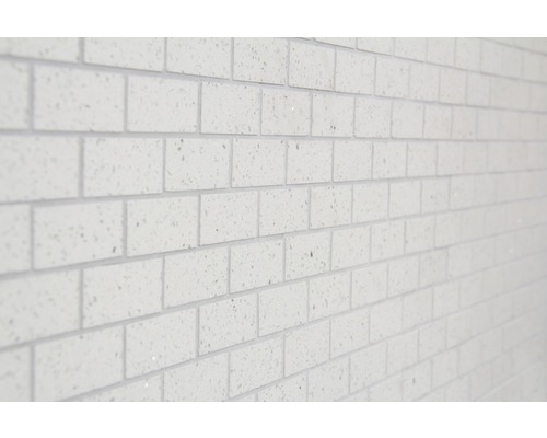 Närbild av en vägg med vita fasadtegelstenar